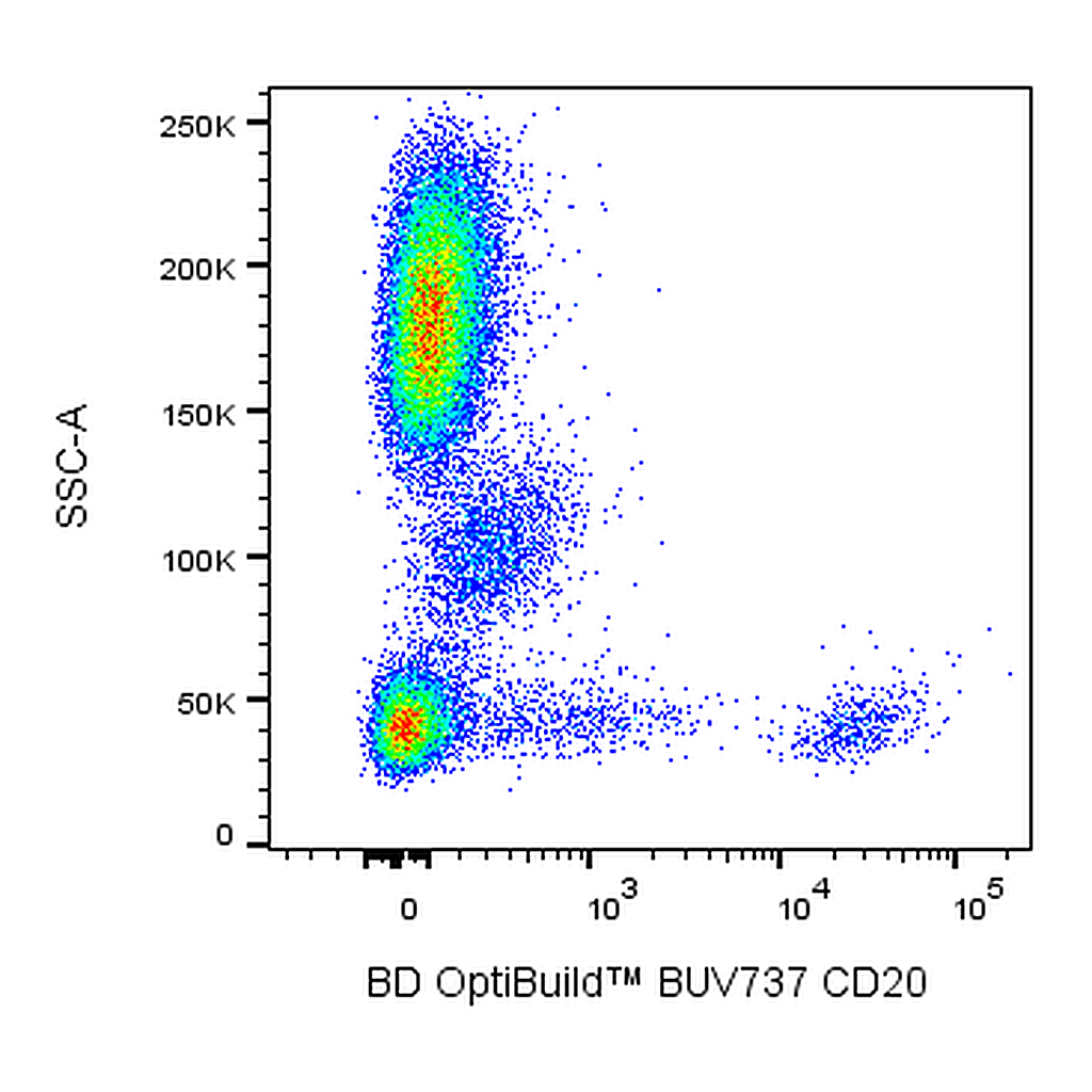 BD BUV737 Mouse Anti-Human CD20