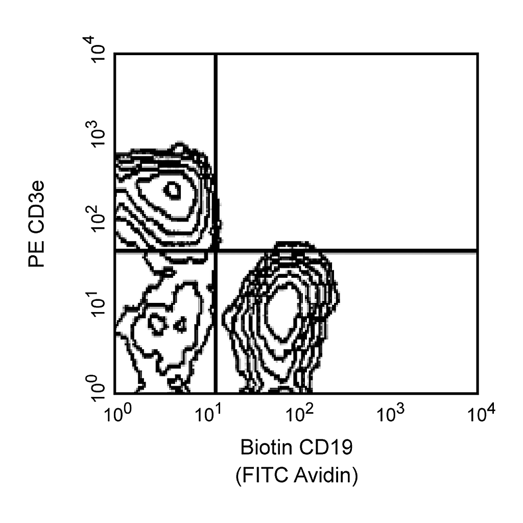 BD Biotin Rat Anti-Mouse CD19