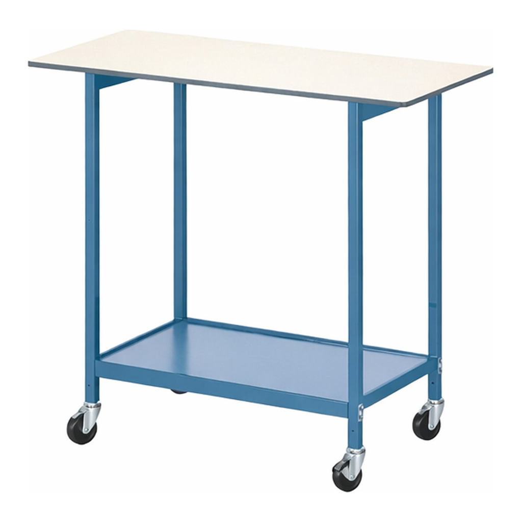 AS ONE Lab Bench with Drawer 900 x 600 x 790mm