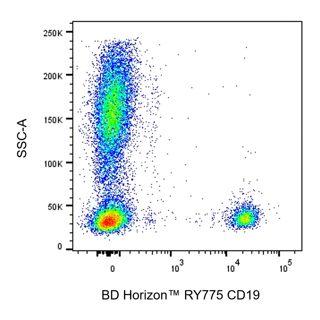 BD RY775 Mouse Anti-Human CD19