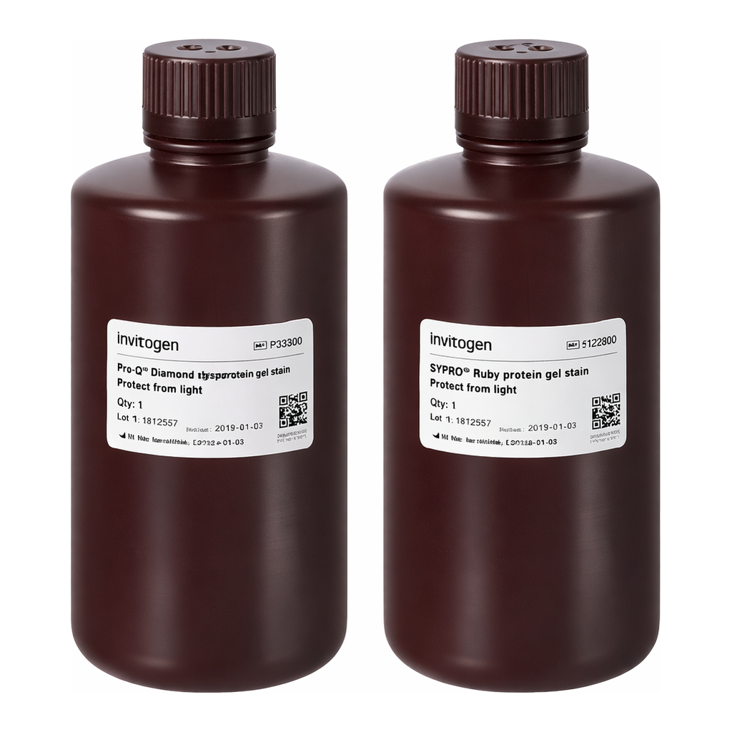 Thermo Fisher Scientific Multiplexed Proteomics Phosphoprotein Gel Stain Kit #1 (with Pro-Q Diamond and SYPRO Ruby Gel Stains), 1 set, 1 L per Dye
