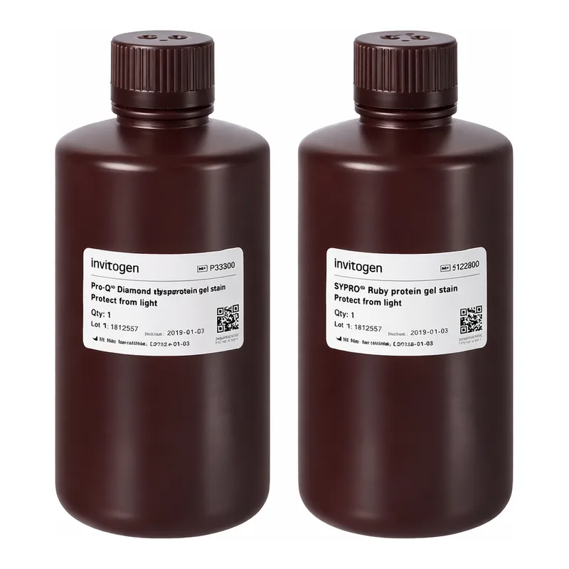 Thermo Fisher Scientific Multiplexed Proteomics Phosphoprotein Gel Stain Kit #1 (with Pro-Q Diamond and SYPRO Ruby Gel Stains), 1 set, 1 L per Dye