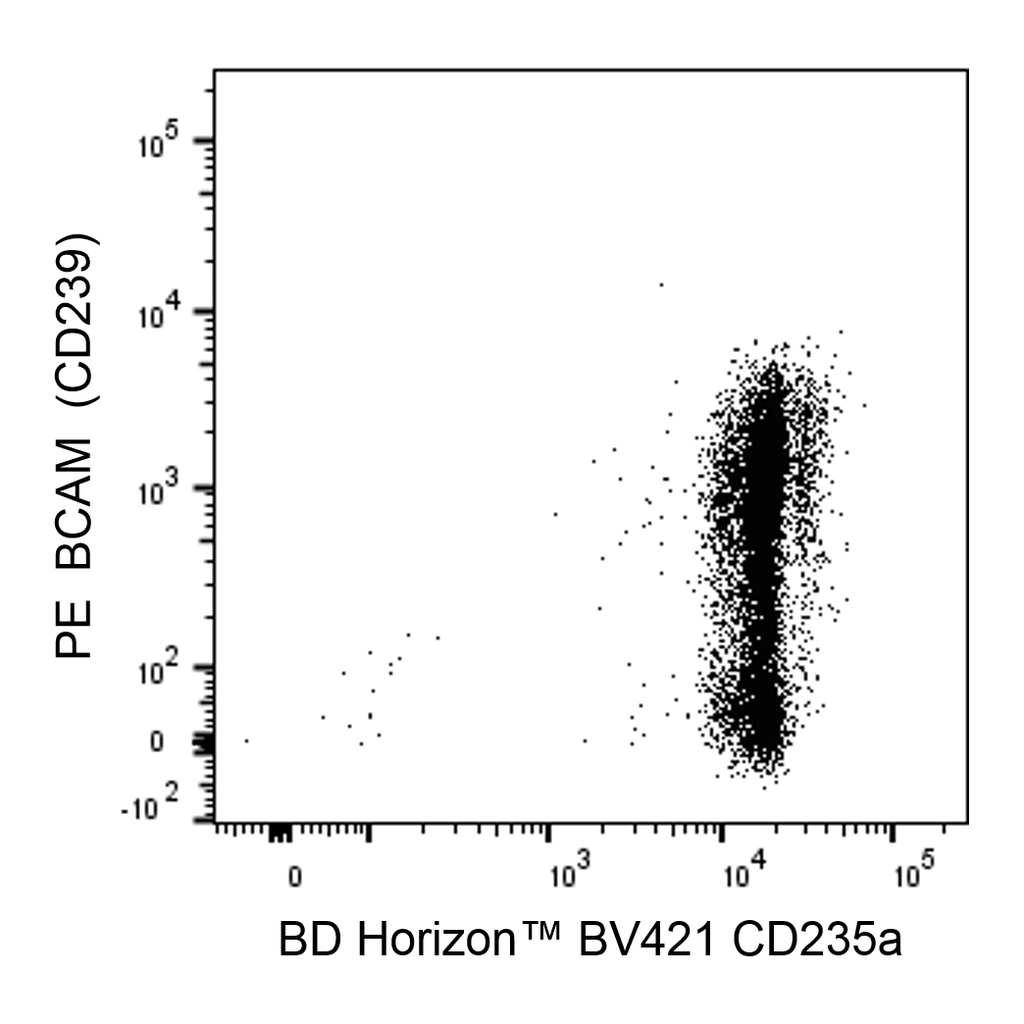 BD PE Mouse Anti-Human BCAM (CD239)