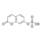 Merck 7-Hydroxycoumarin sulfate potassium salt