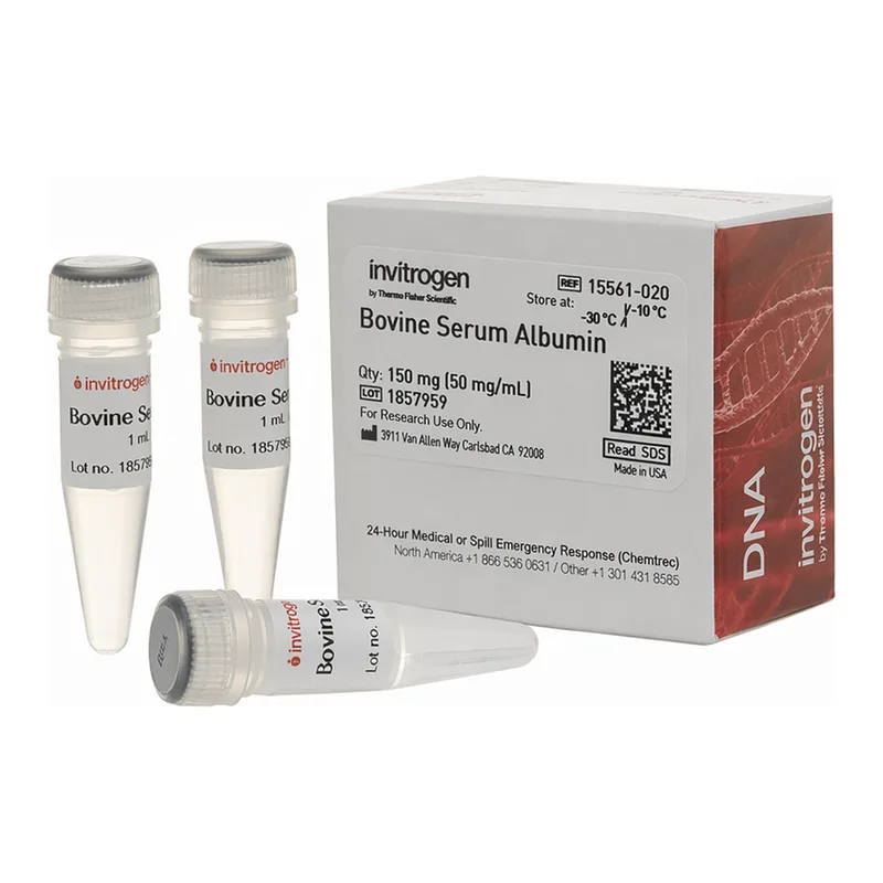 Thermo Fisher Scientific Bovine Serum Albumin