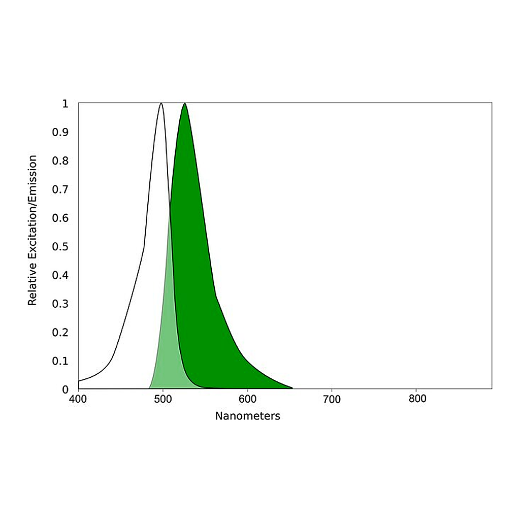 Merck AQUORA® FLUORESCEIN-MALEIMIDE