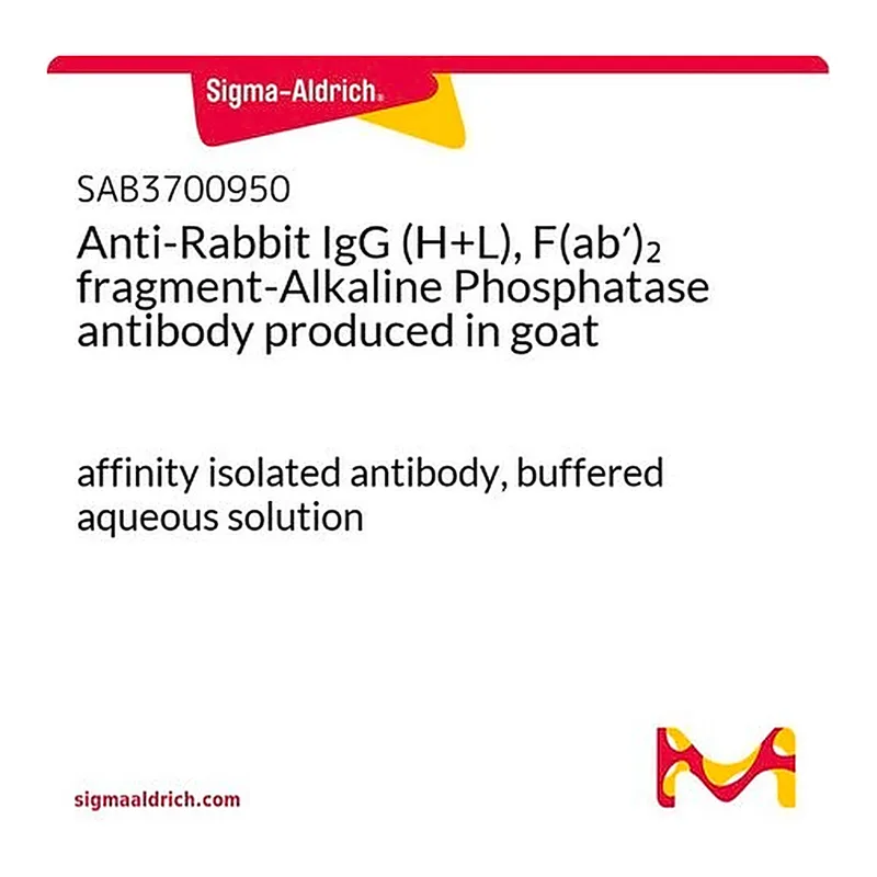 Merck Anti-Rabbit IgG (H+L), F(ab')2 fragment-Alkaline Phosphatase antibody produced in goat