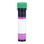 BD BV480 Rat Anti-Mouse CD71 (Transferrin Receptor)