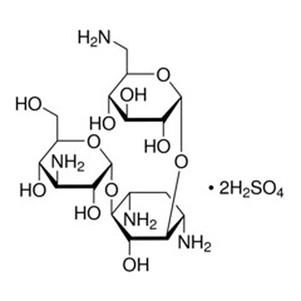 Merck KANAMYCIN DISULFATE SALT, FROM STREPTOM&