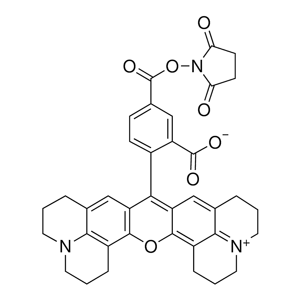 Merck 5-Carboxy-X-rhodamine N-succinimidyl ester