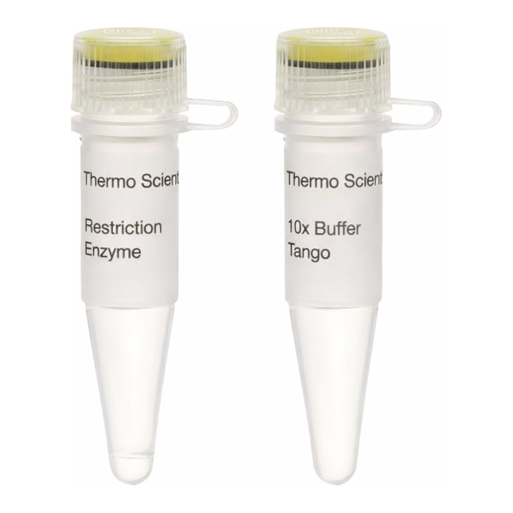 Thermo Fisher Scientific Bsu15I (ClaI) (10 U/&mu;L), 600 units