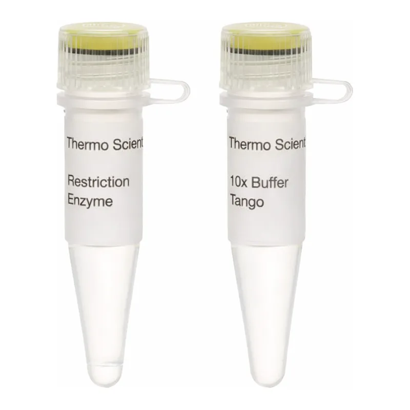Thermo Fisher Scientific Bsu15I (ClaI) (10 U/μL), 600 units