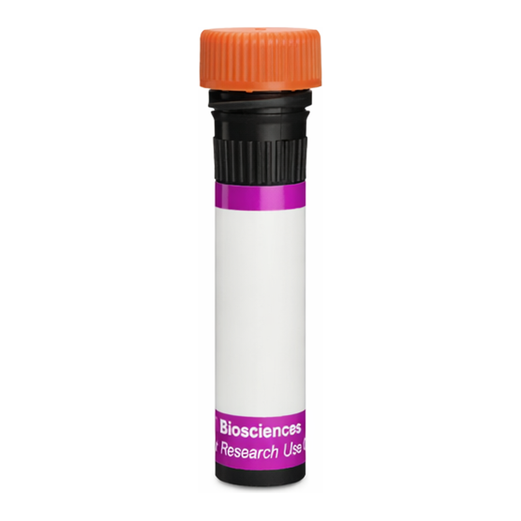 BD BV605 Rat Anti-Mouse TER-119/Erythroid Cells