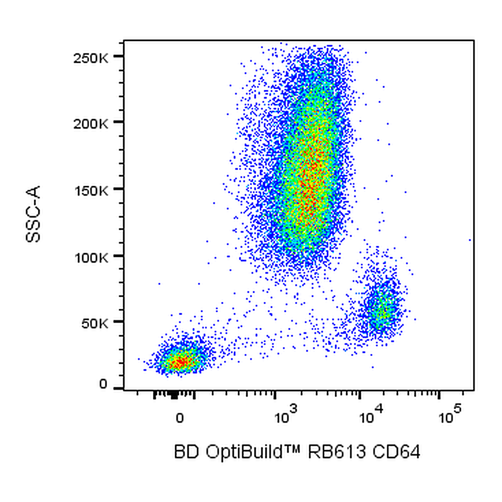 BD RB613 Mouse Anti-Human CD64