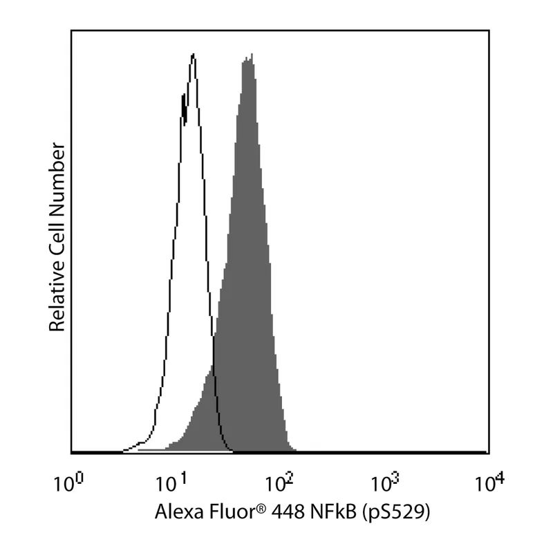 BD Alexa Fluor® 488 Mouse anti-NF-κB p65 (pS529)