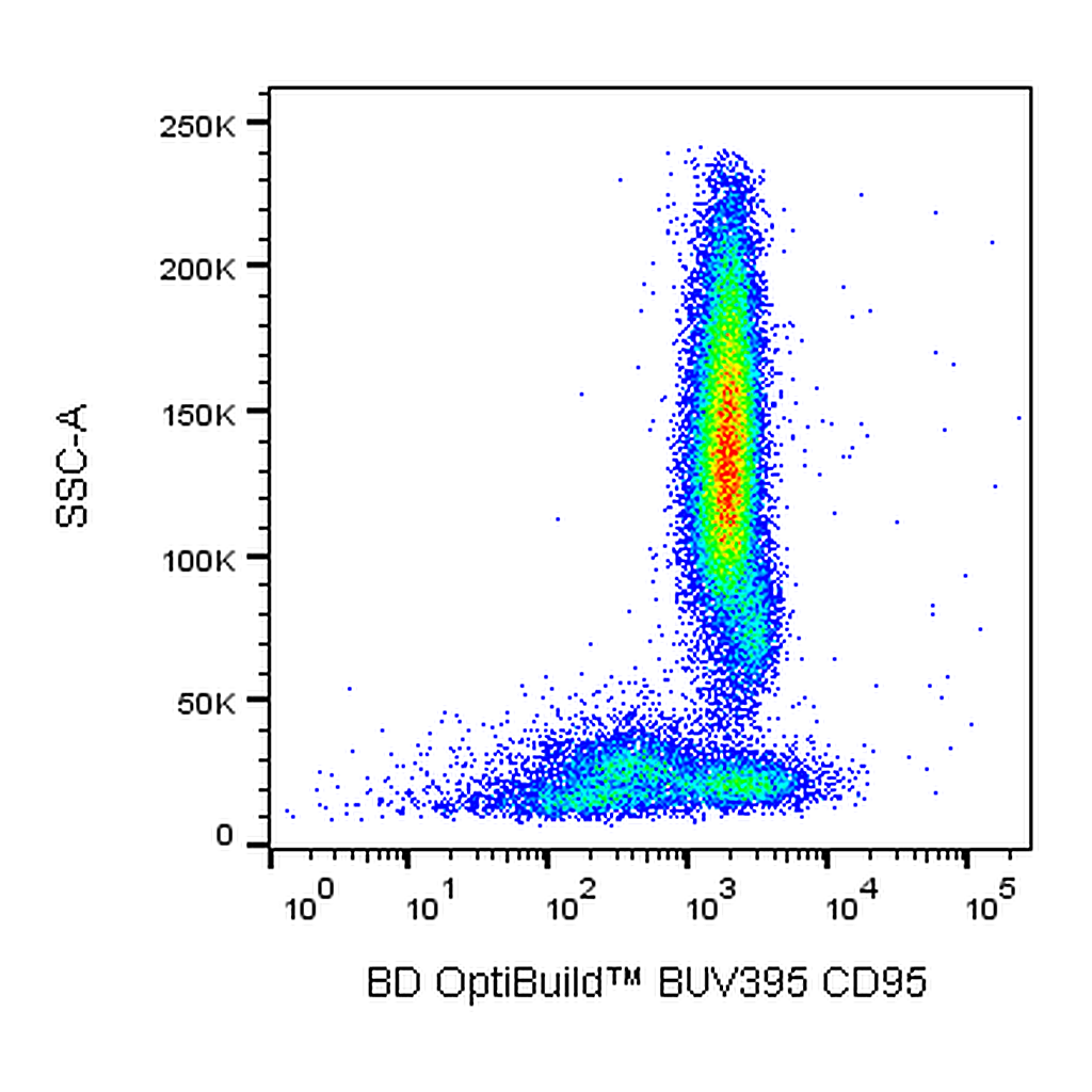 BD BUV395 Mouse Anti-Human CD95