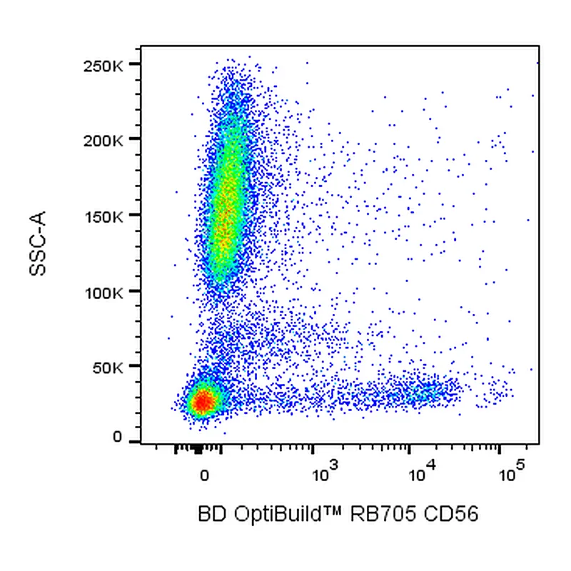 BD RB705 Mouse Anti-Human CD56