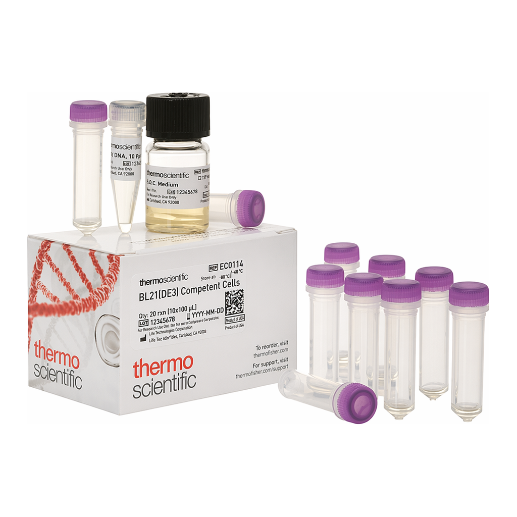 Thermo Fisher Scientific BL21(DE3) Competent Cells
