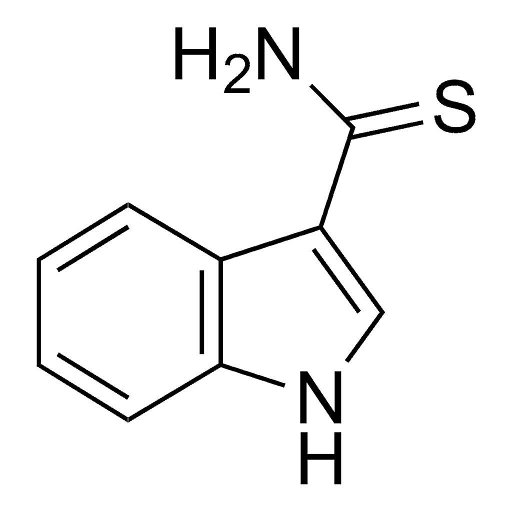 Merck Indole-3-thiocarboxamide