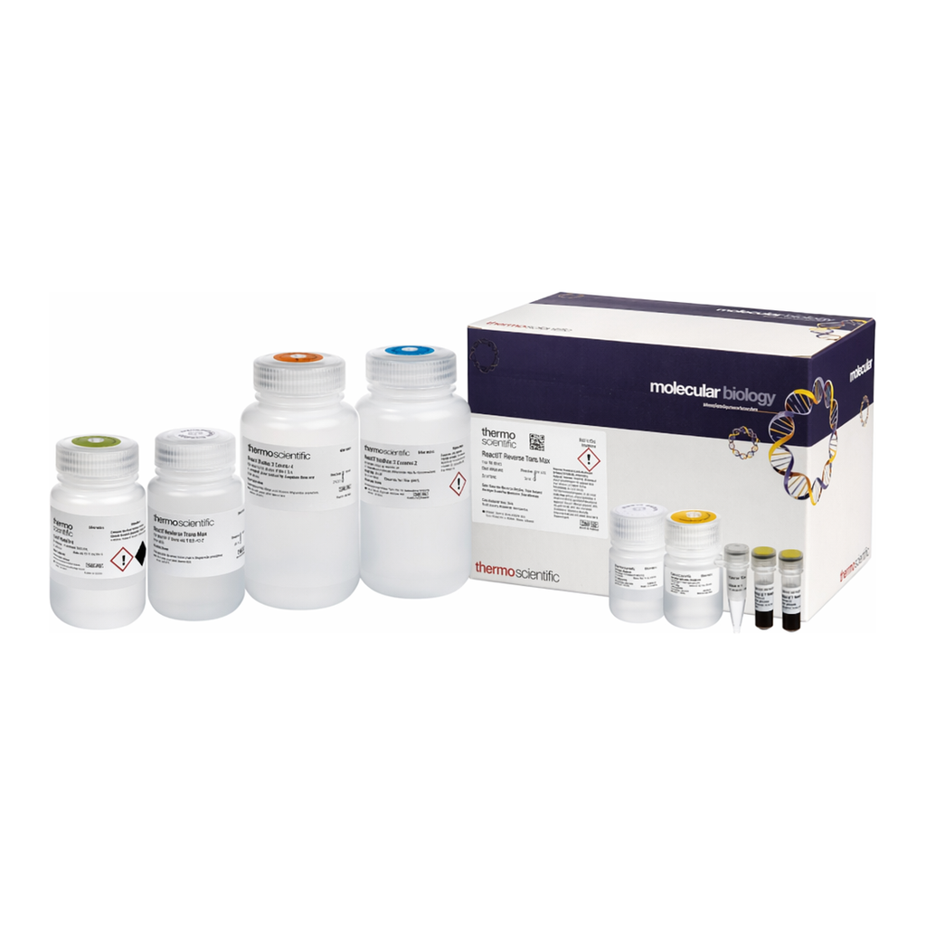 Thermo Fisher Scientific MagJET Plasmid DNA Kit, 96 Preps