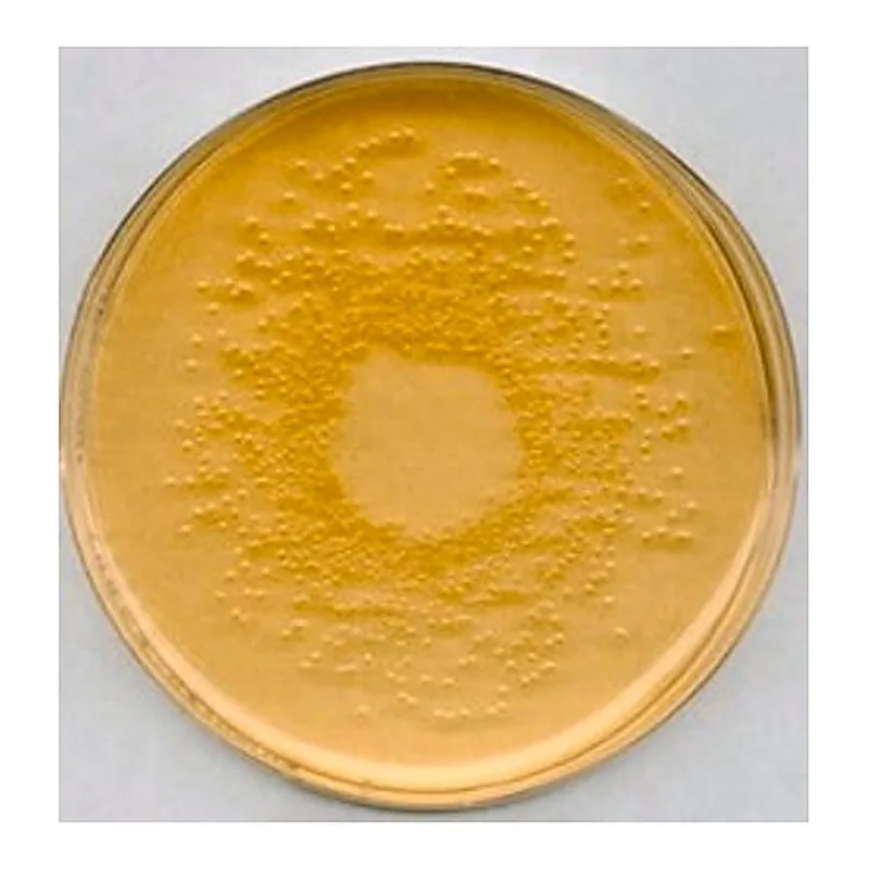 Merck Nutrient Agar No 2