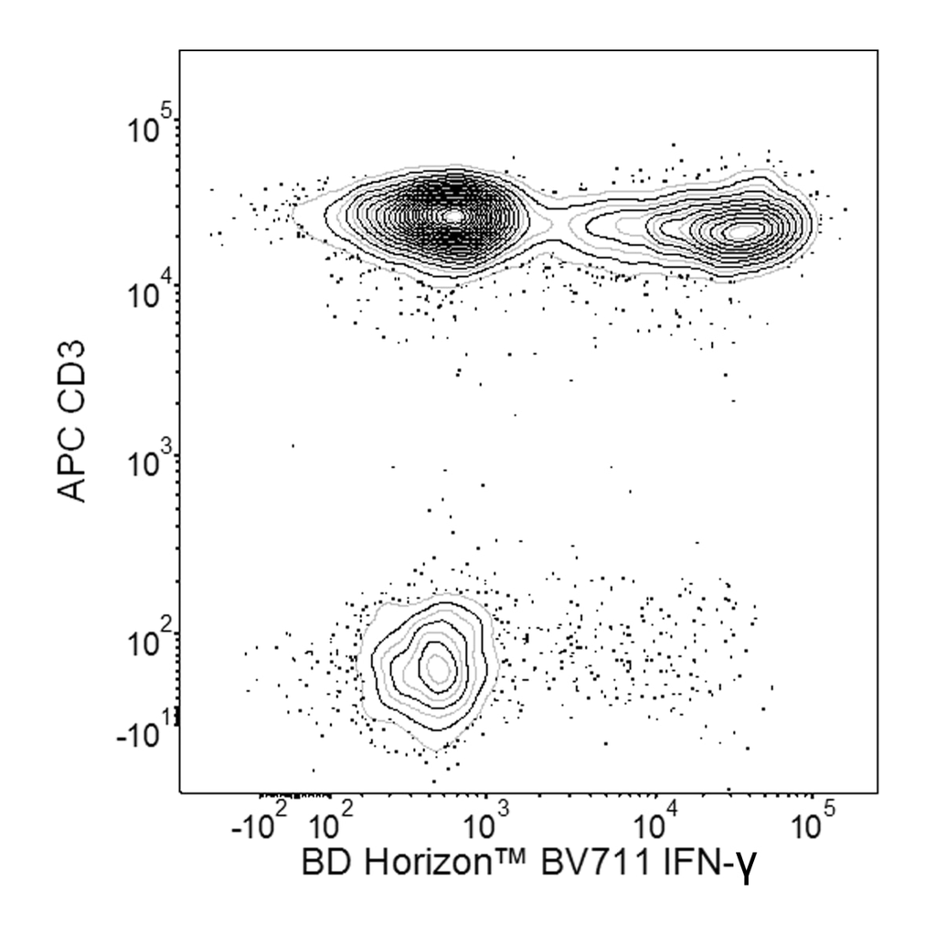 BD BV711 Mouse Anti-Human IFN-γ
