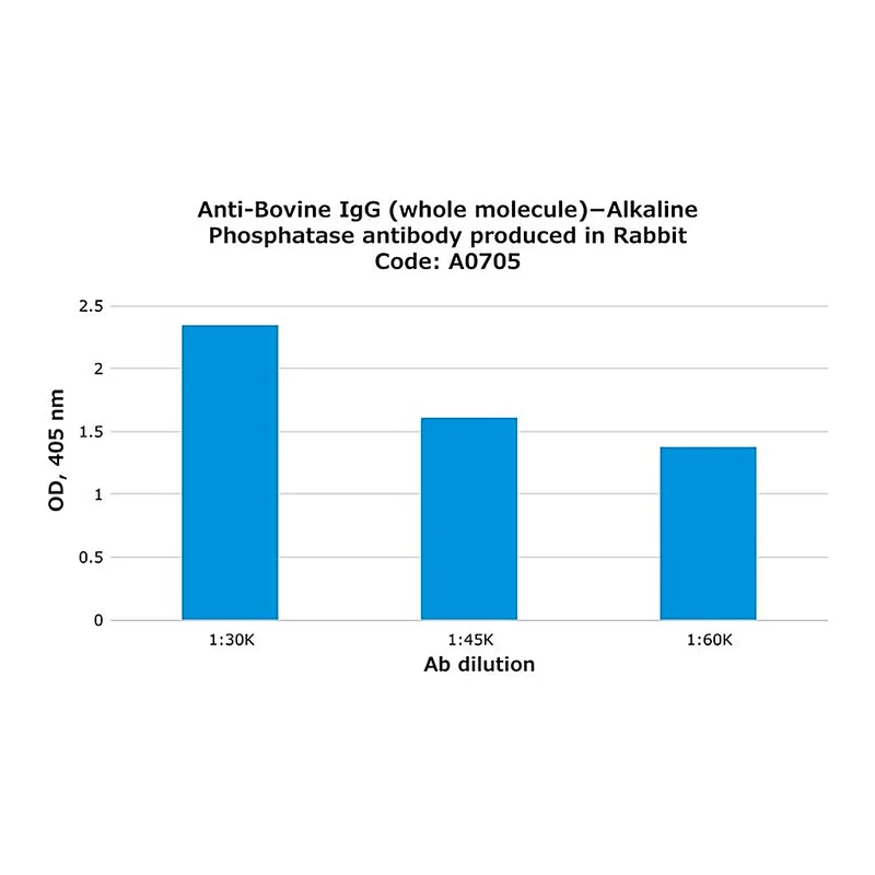 Merck Anti-Bovine IgG (whole molecule)-Alkaline Phosphatase antibody produced in rabbit