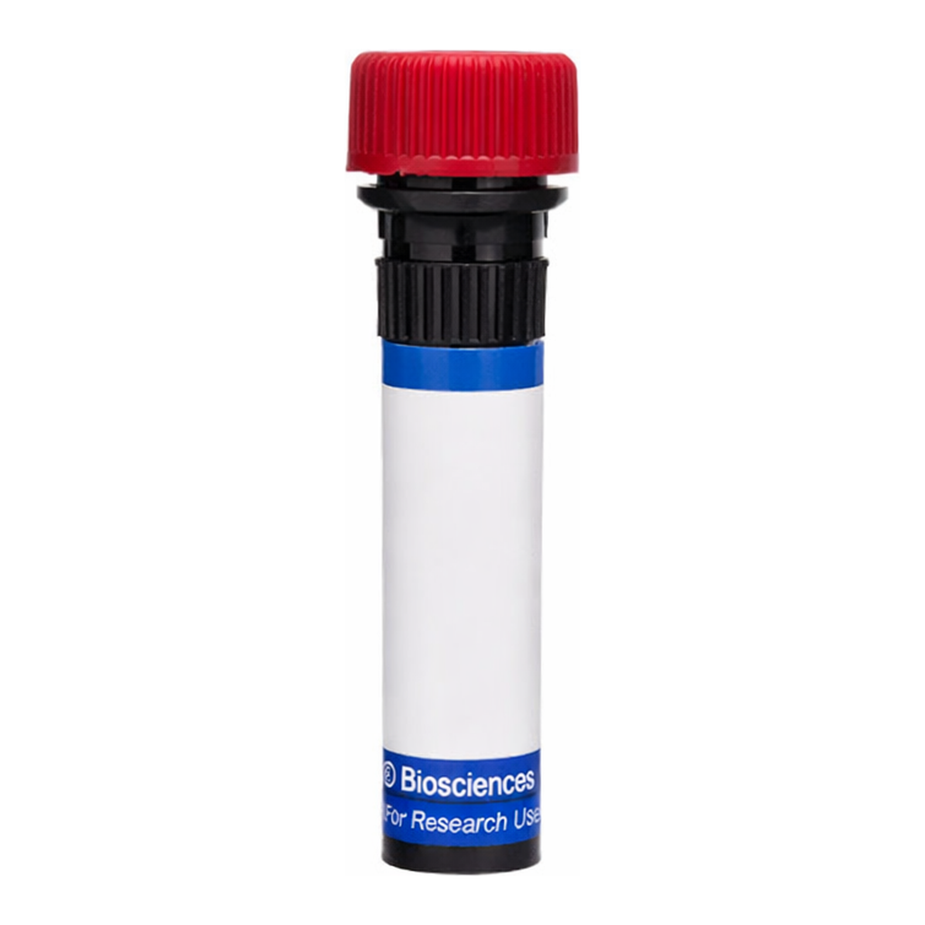 BD RB670 Mouse Anti-Rat CD25 (IL-2 Receptor α)