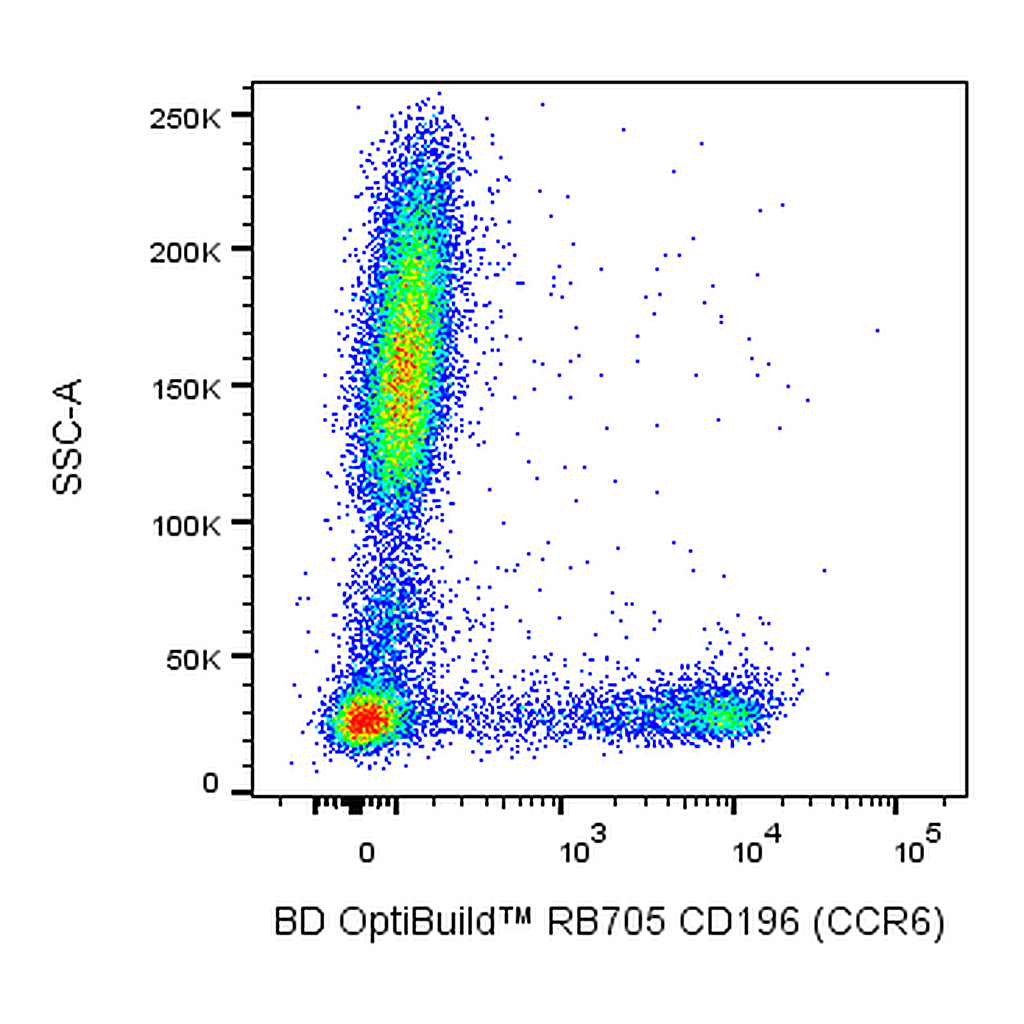 BD RB705 Mouse Anti-Human CD196 (CCR6)