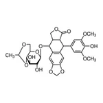 Merck ETOPOSIDE, UNITED STATES PHARMACOPEIA (U
