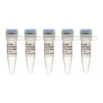 Thermo Fisher Scientific Phusion Flash High-Fidelity PCR Master Mix, 500 reactions