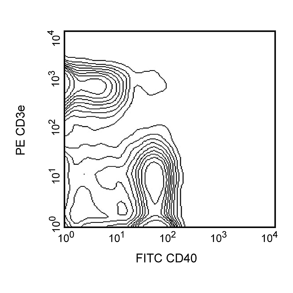 BD FITC Rat Anti-Mouse CD40