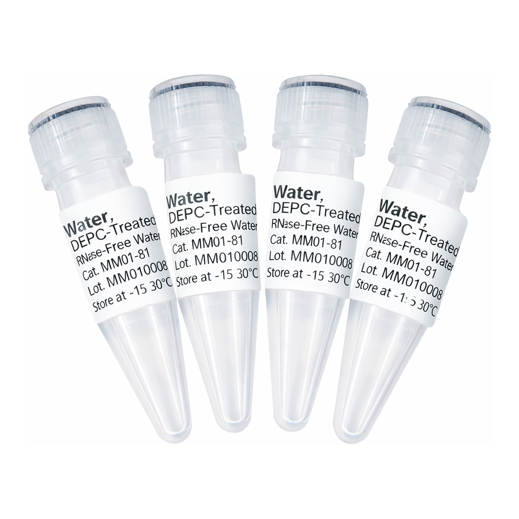 솔바이오팜 Water, DEPC Treated