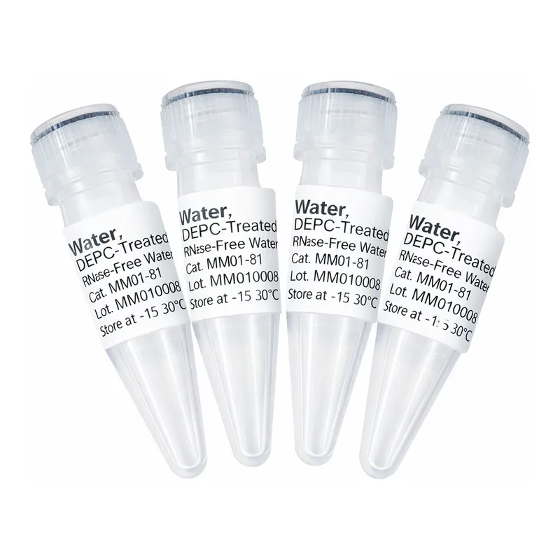 솔바이오팜 Water, DEPC Treated