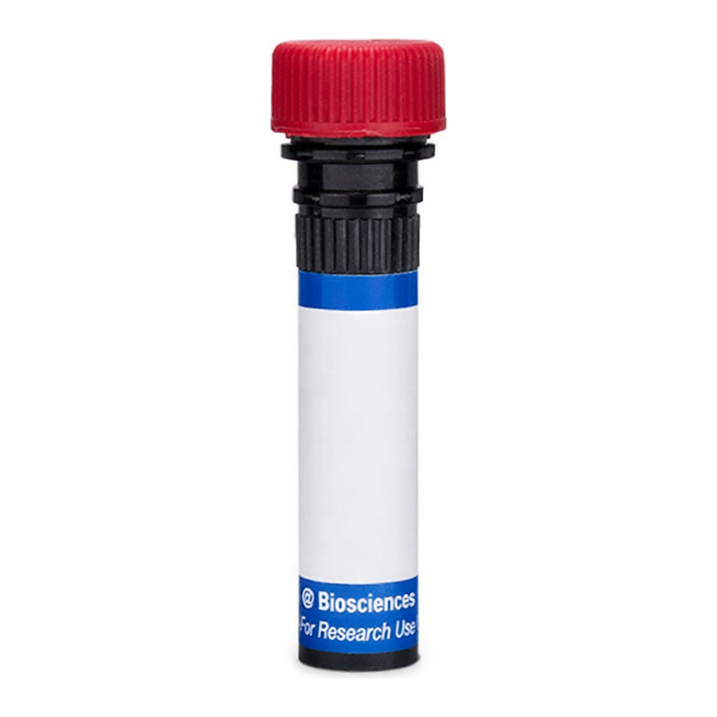 BD RB670 Biosimilar Anti-Human CD20