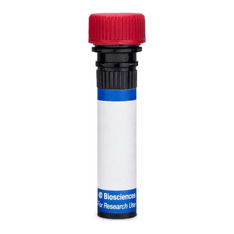 BD RB670 Biosimilar Anti-Human CD20