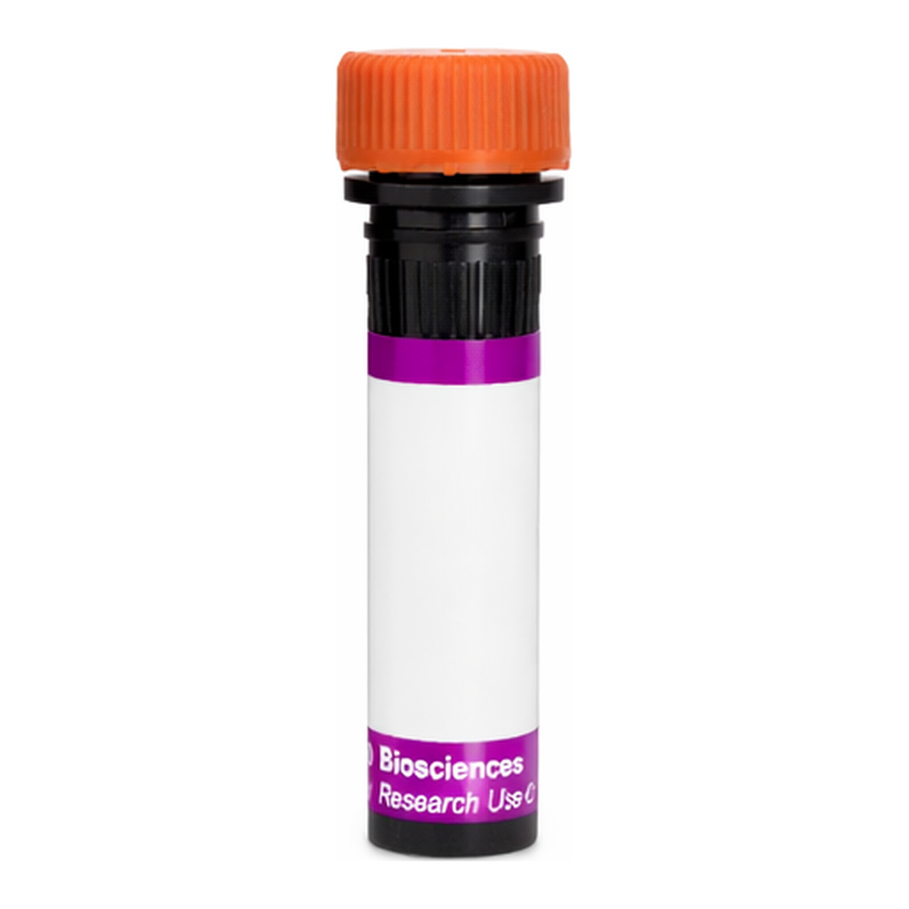 BD BV605 Rat Anti-Mouse Vβ 11 T-Cell Receptor