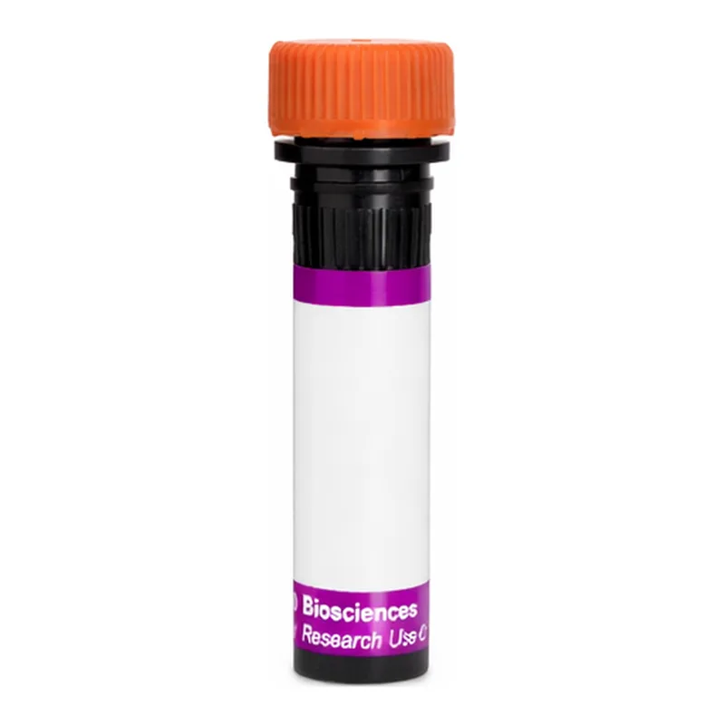 BD BV605 Rat Anti-Mouse Vβ 11 T-Cell Receptor