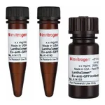 Thermo Fisher Scientific LanthaScreen Eu-anti-GFP Antibody, 2.5 ug