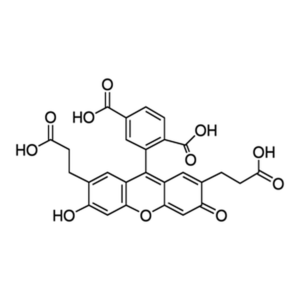 Merck 2``,7``-BIS(2-CARBOXYETHYL)-5(6)- CARBOXYF