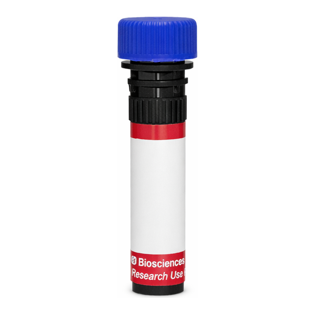 BD R718 Mouse Anti-Human Chondroitin Sulfate (NG2)