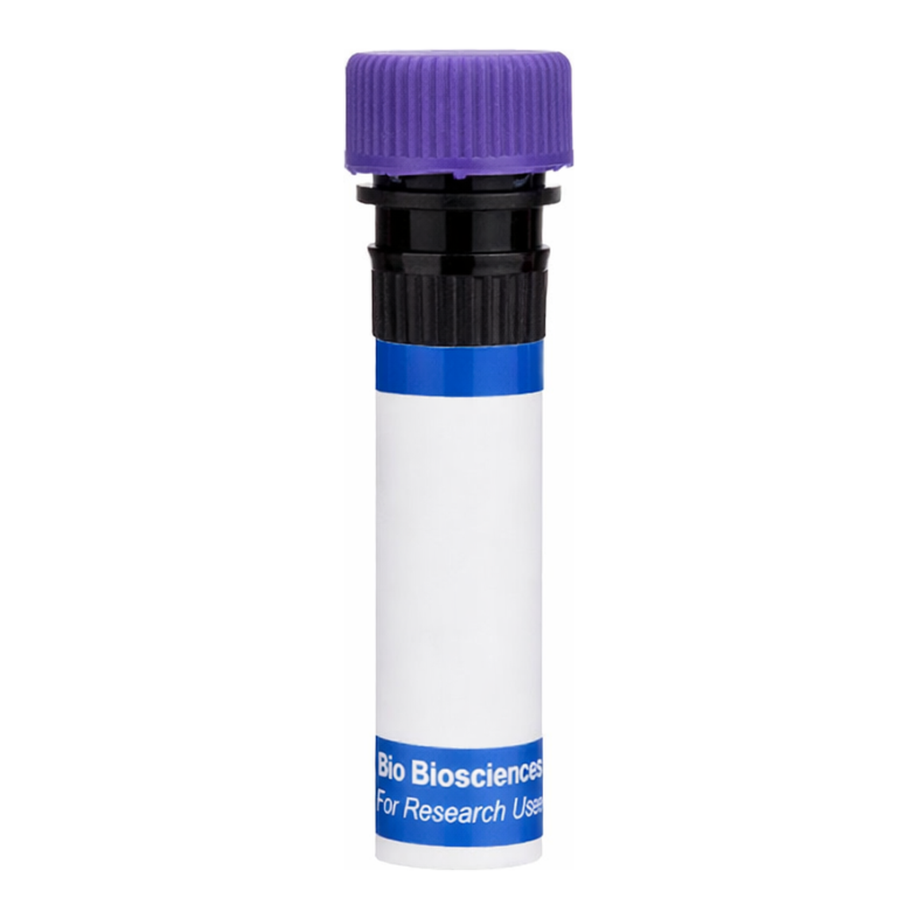 BD RB744 Mouse Anti-Human HLA-DR