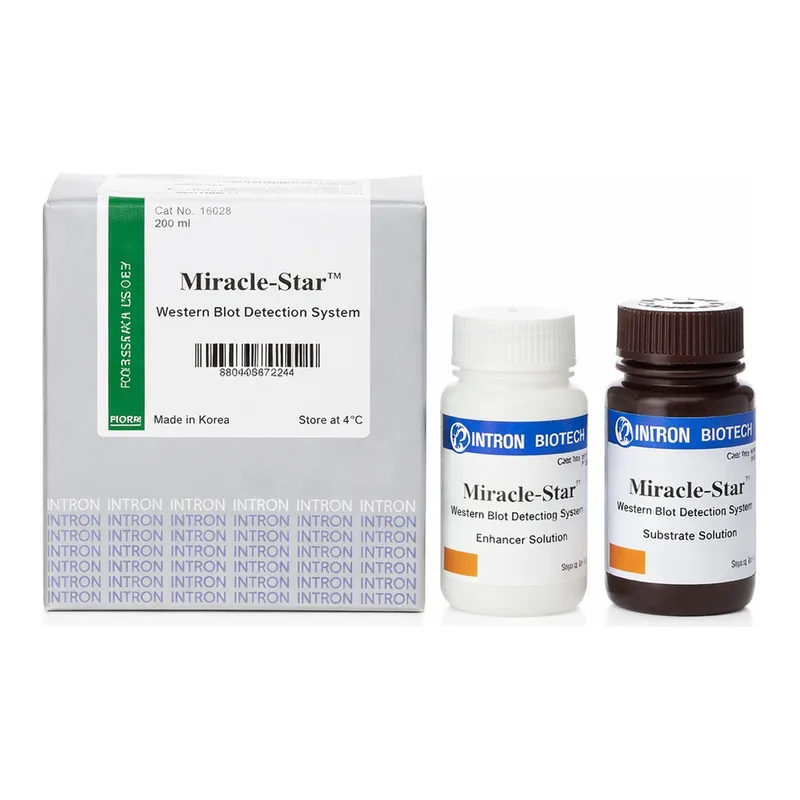 Intron Miracle-Star™ Western Blot Detection System