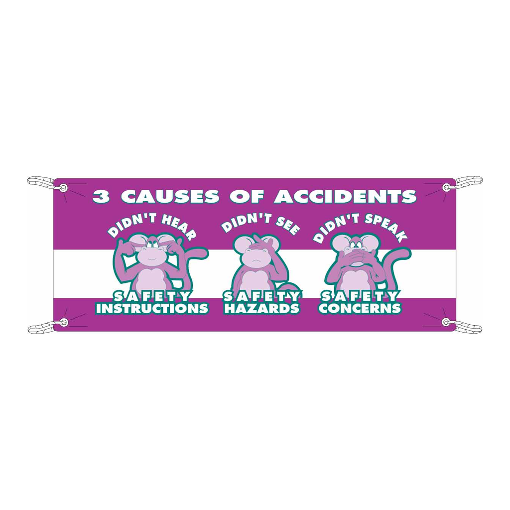 Brady 3 CAUSES OF ACCIDENTS Banner
