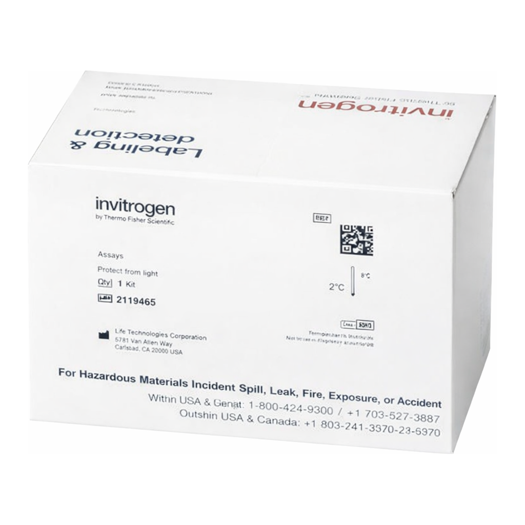 Thermo Fisher Scientific Qubit Flex System Verification Assay Kit