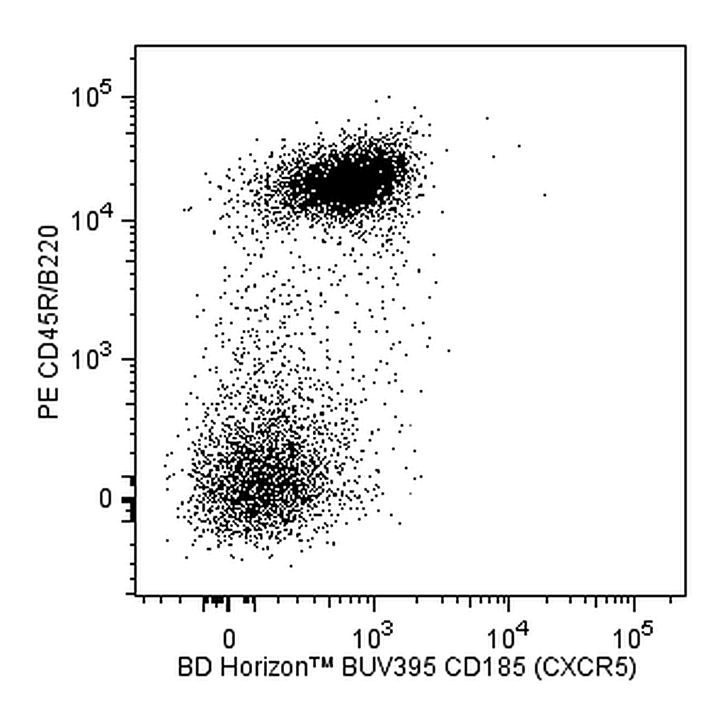 BD BUV395 Rat Anti-Mouse CD185 (CXCR5)
