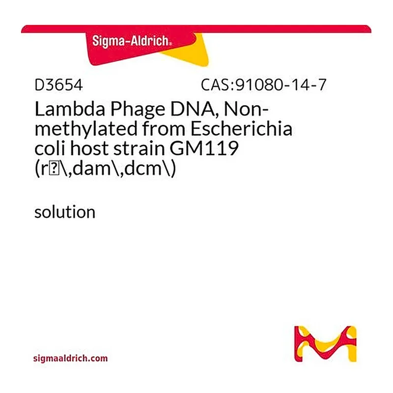 Merck Lambda Phage DNA, Non-methylated from Escherichia coli host strain GM119 (rm-,dam-,dcm-)