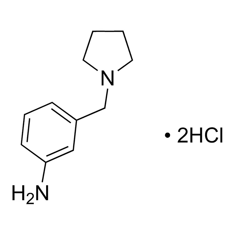 Merck 3-(Pyrrolidin-1-ylmethyl)aniline dihydrochloride