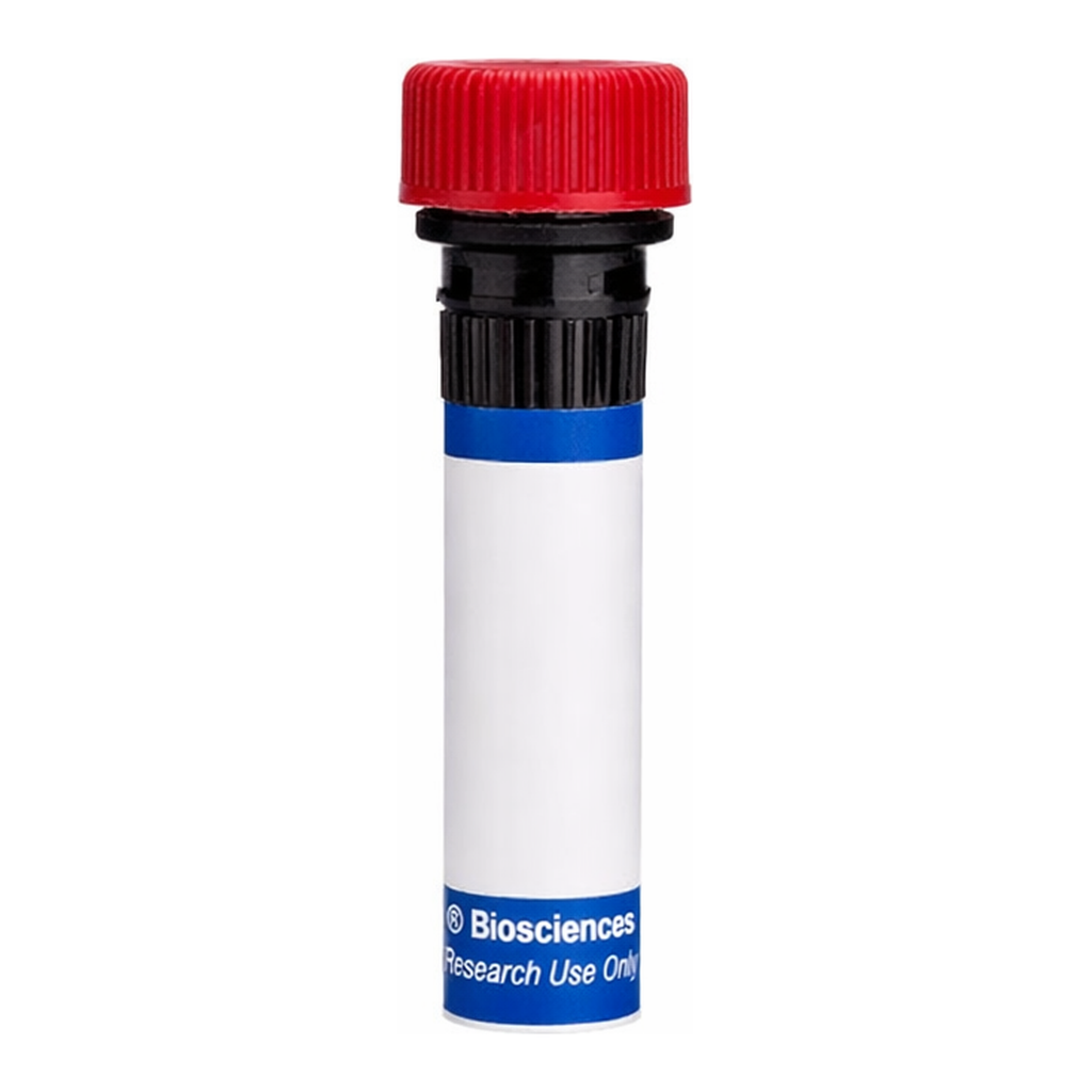 BD RB824 Mouse Anti-Human Granzyme B