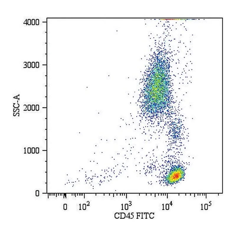 Merck Monoclonal Anti-CD45-FITC antibody produced in mouse